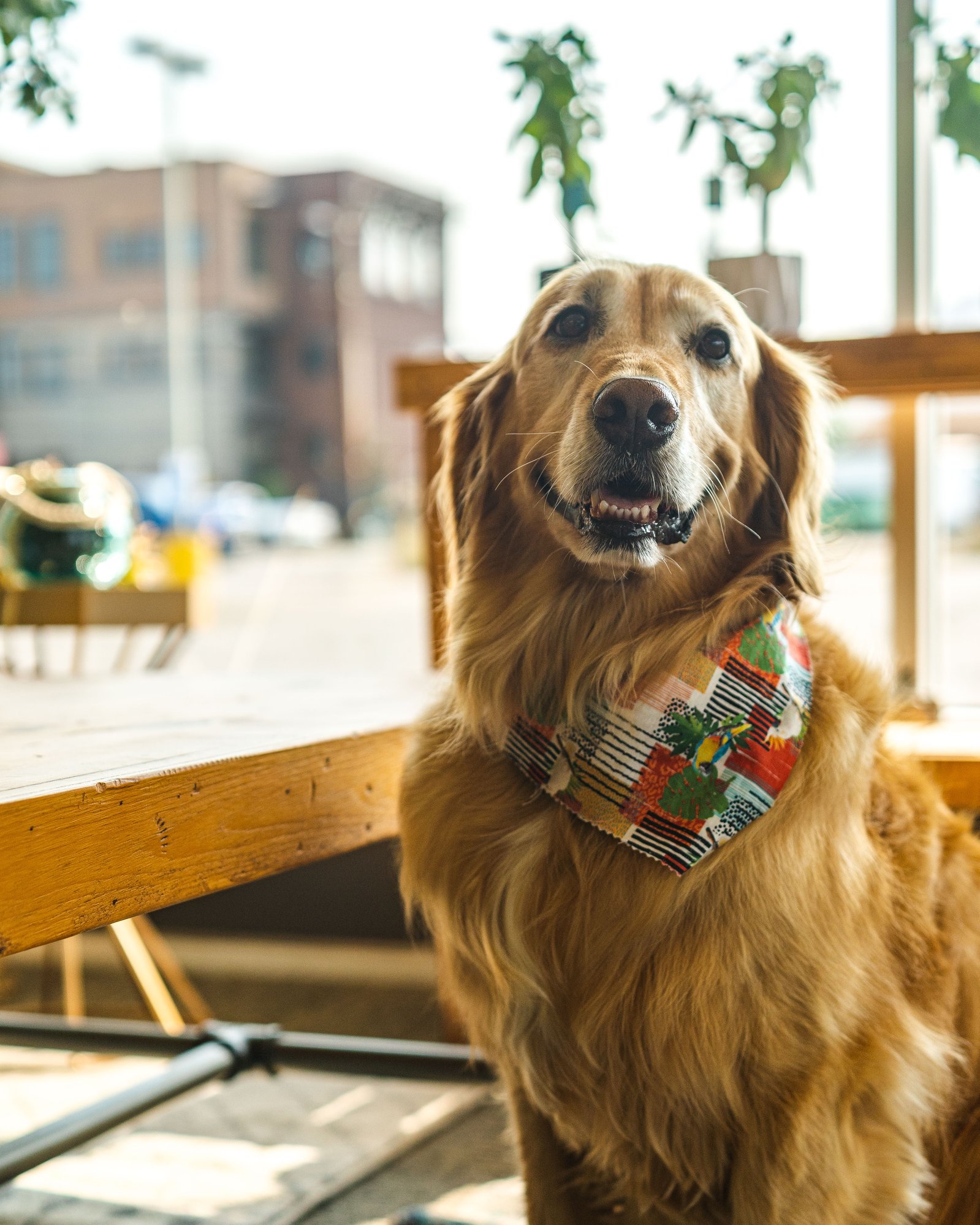 ReStyle Clothing Exchange Missoula